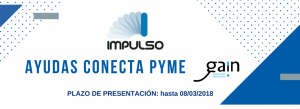 Ayudas Conecta Pyme