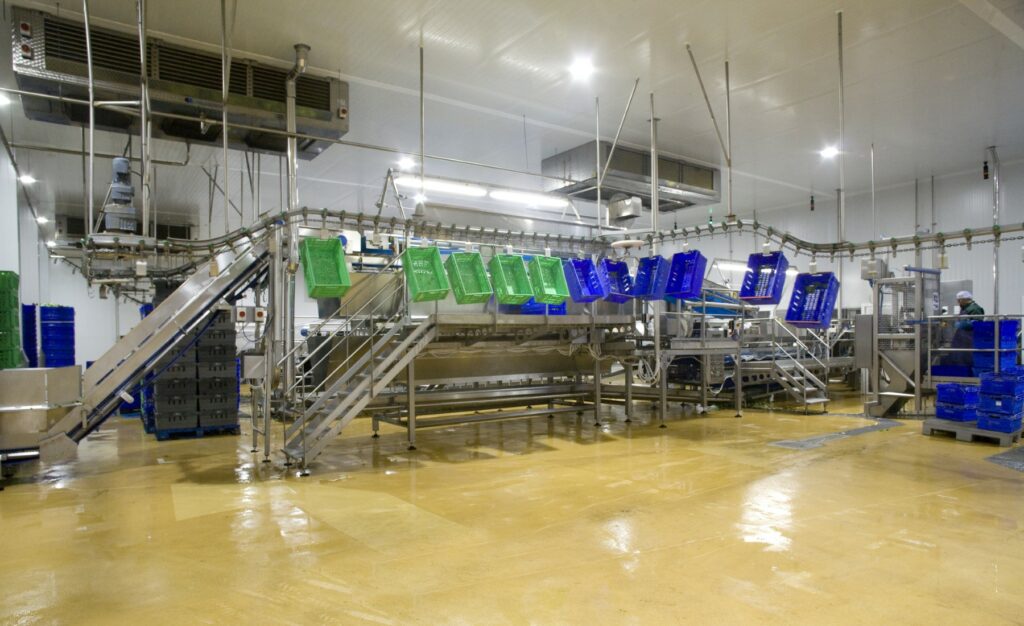 Verdifresh Verdifresh