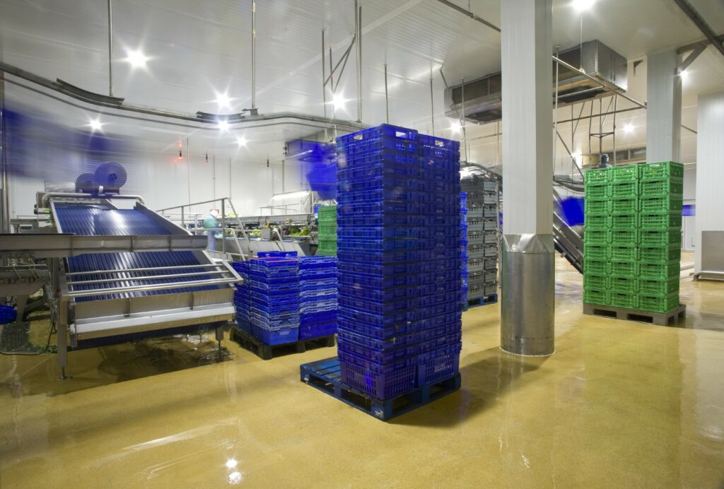 Verdifresh Verdifresh