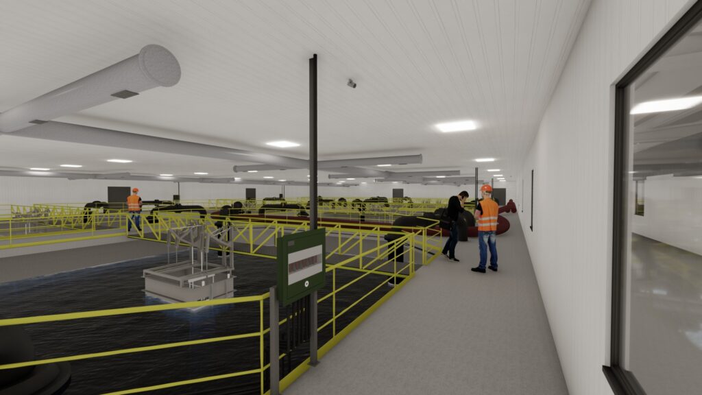 P.Salmon_2-Proyecto 04 bim aguas