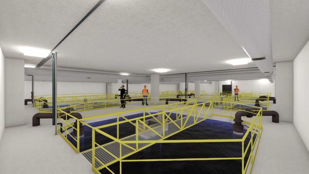 P.Salmon_2-Proyecto 05 bim aguas