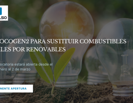 INMINENTE APERTURA DE RENOCOGEN2 PARA SUSTITUIR COMBUSTIBLES FÓSILES POR RENOVABLES